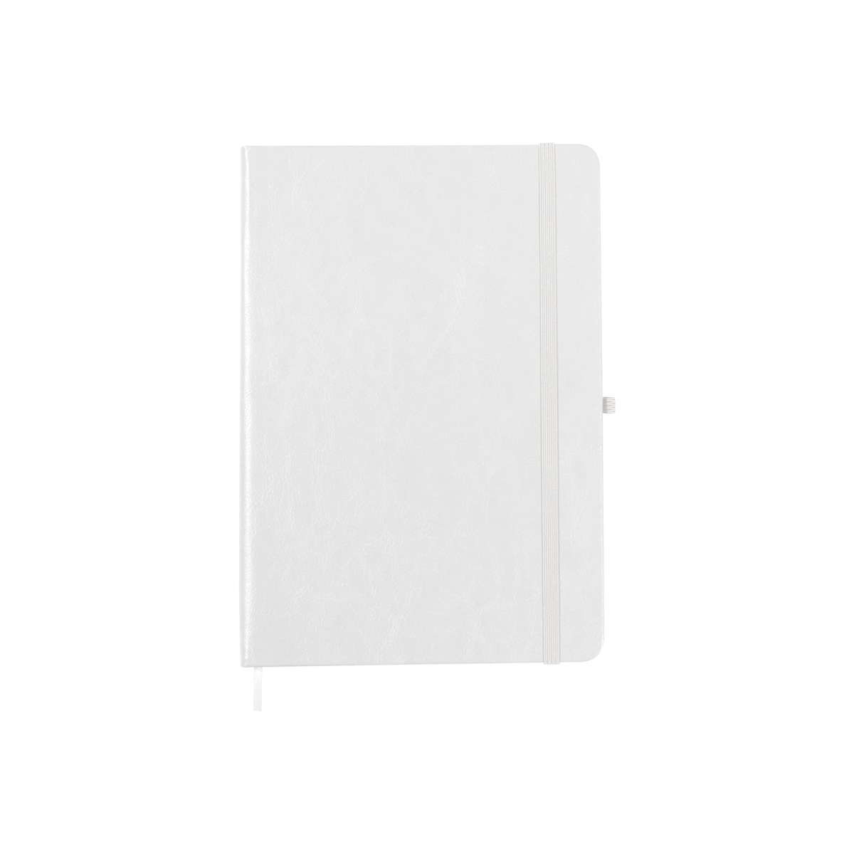 LIBRETA SASSO. - Imagen 2