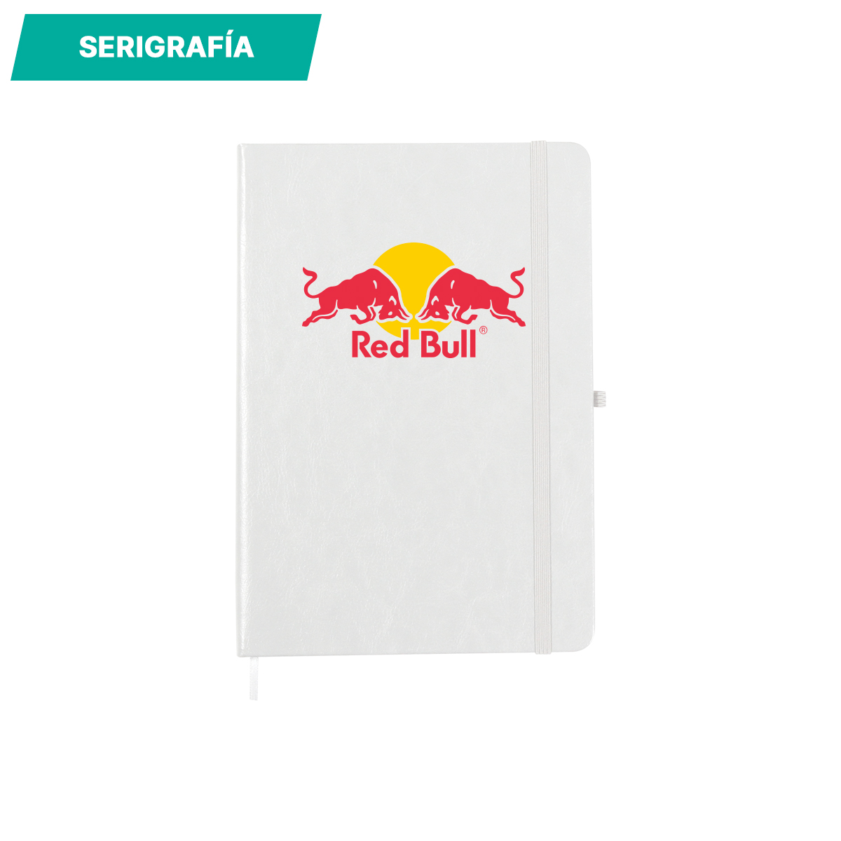 LIBRETA SASSO. - Imagen 8