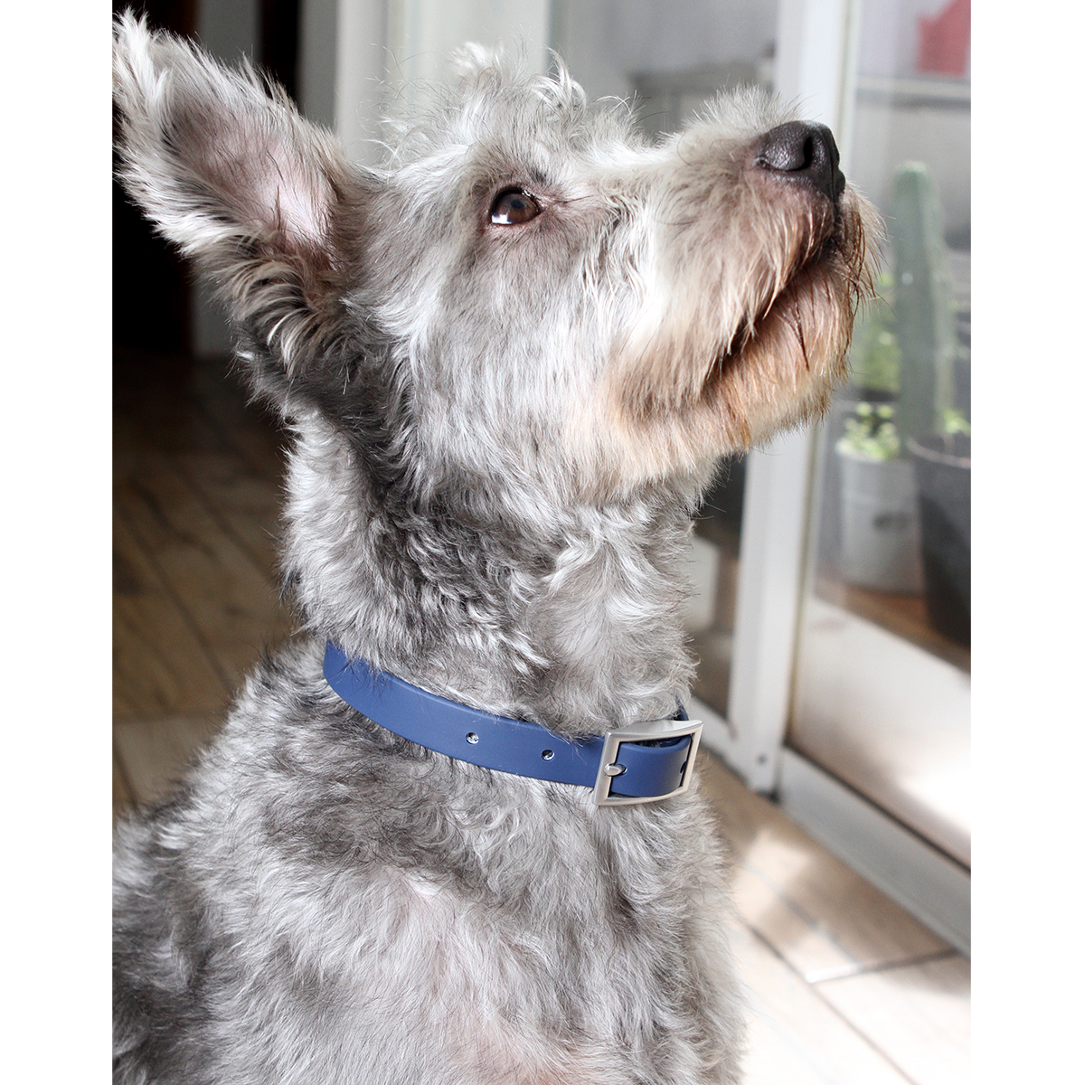 COLLAR NARBONA. - Imagen 7